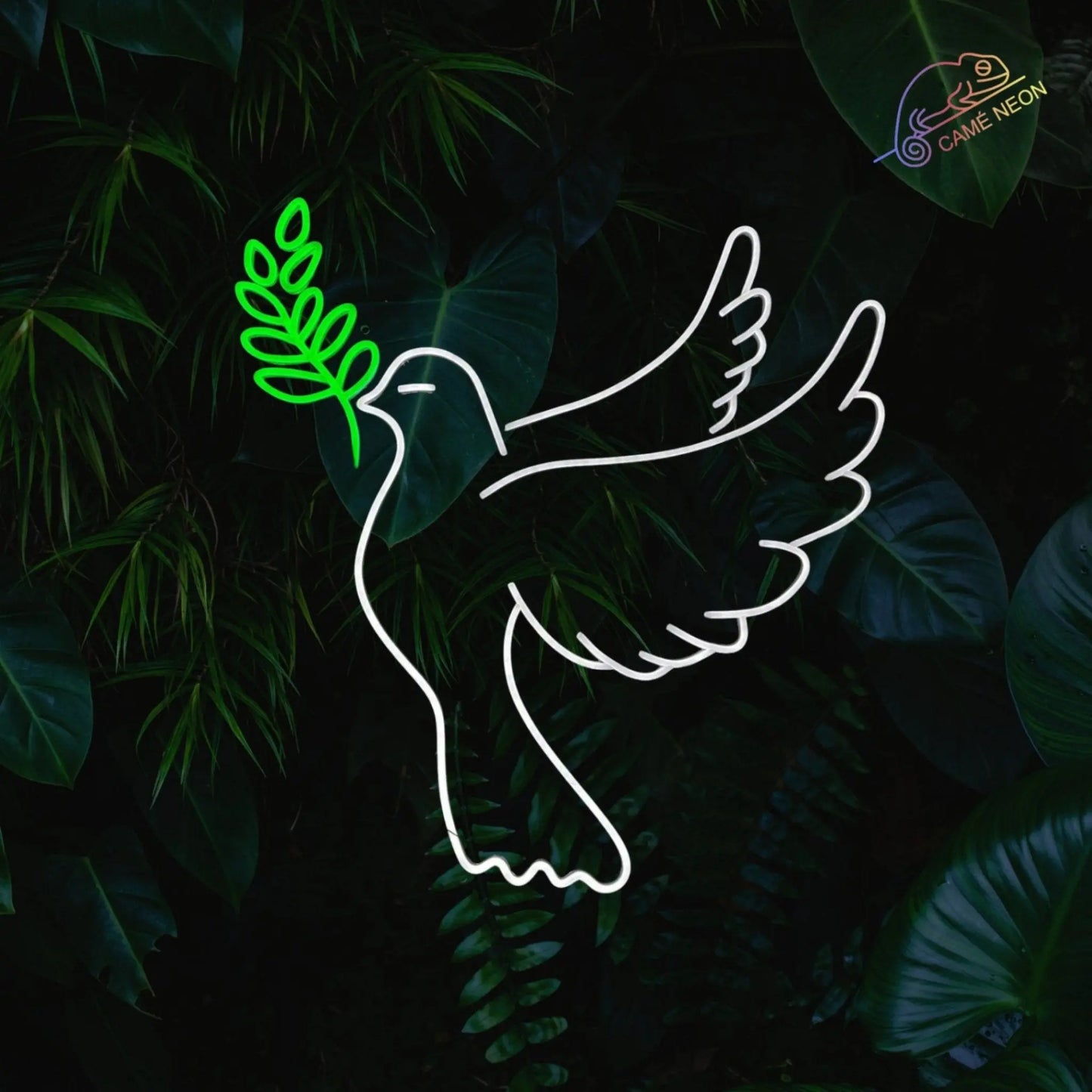 Magnifique néon led colombe parfait pour les mariages, symboles de paix.