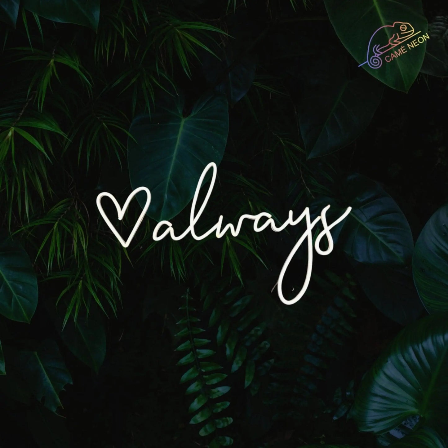 neon always love led