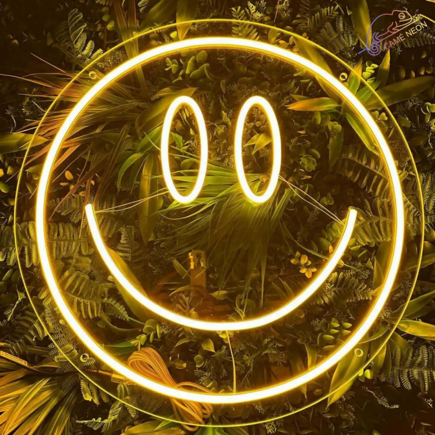 neon smiley jaune sourire
