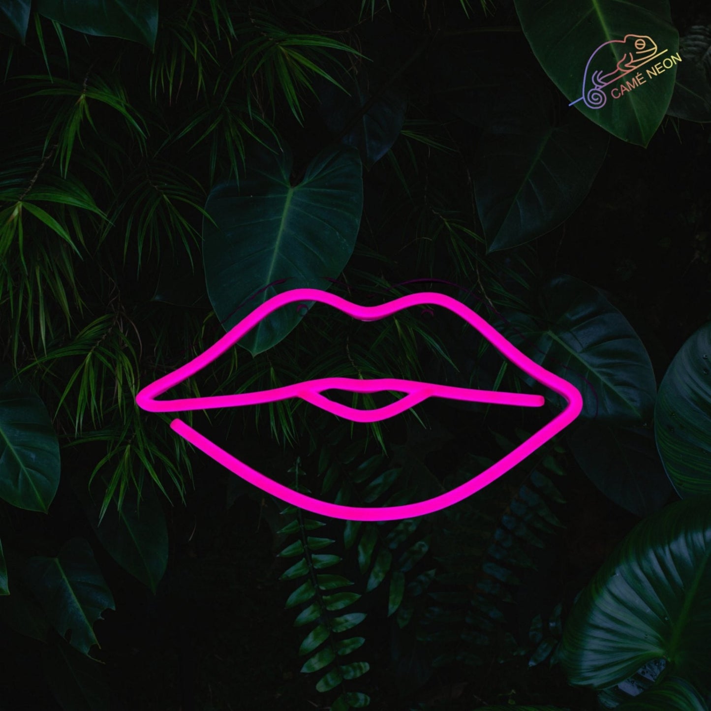 magnifique neon led levres parfait pour des love room