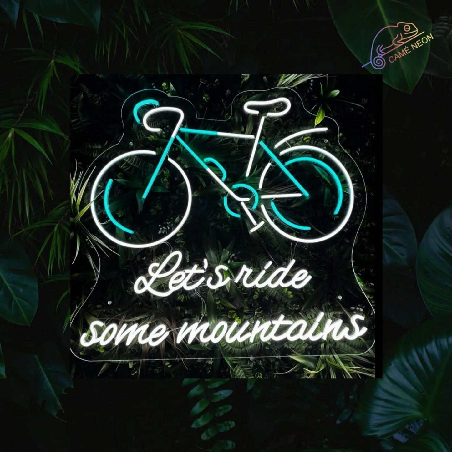 neon led cyclisme velo