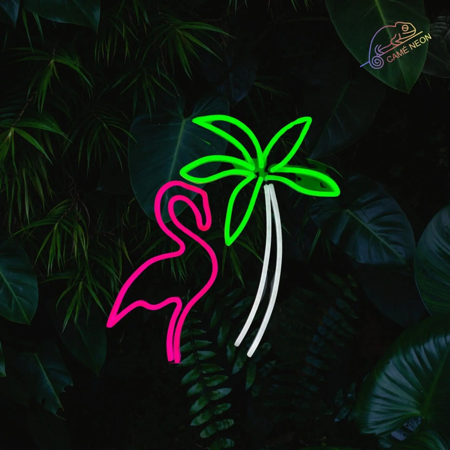 neon flamand rose miami