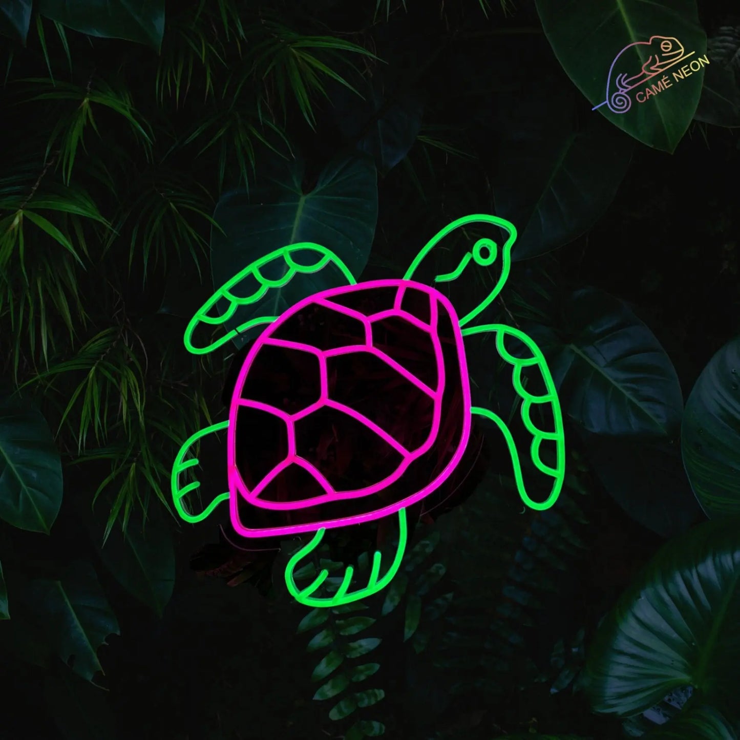 neon led tortue de mer 
