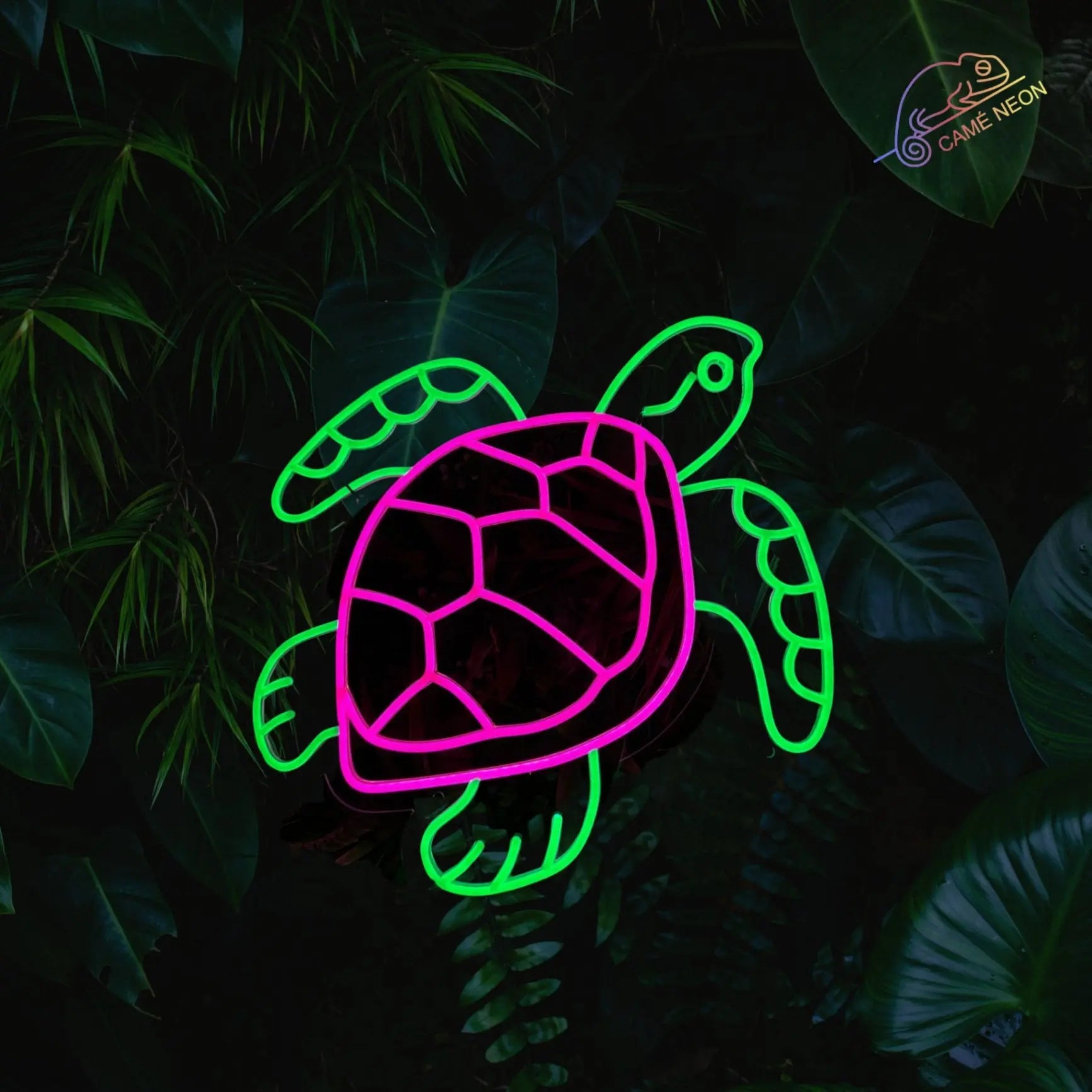 neon led tortue de mer 