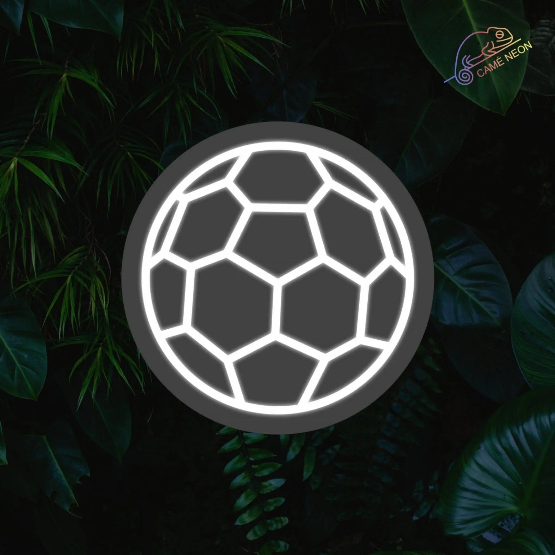 Néon ballon de foot Product vendor blanc