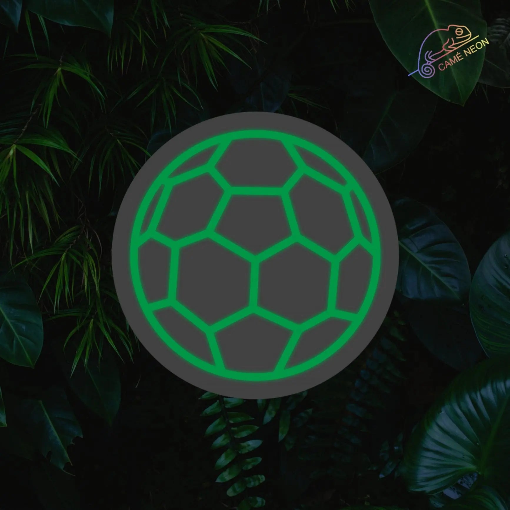 Néon ballon de foot Product vendor vert