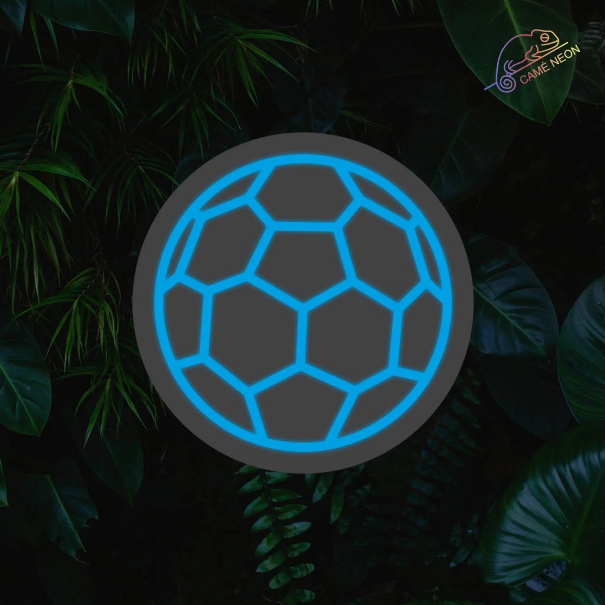 Néon ballon de foot Product vendor bleu