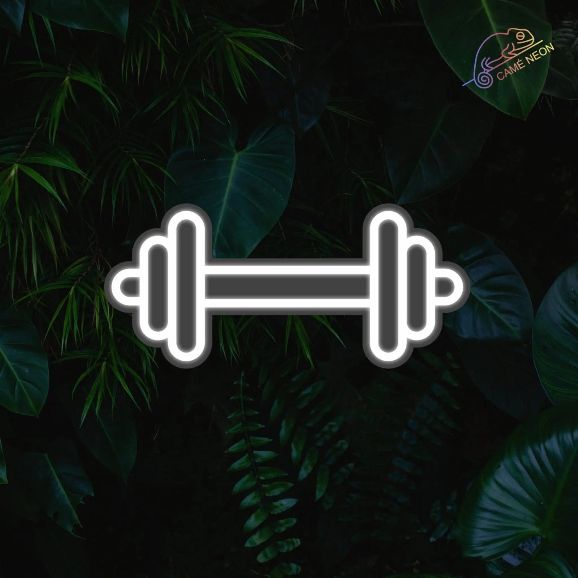 neon led haltere blanc