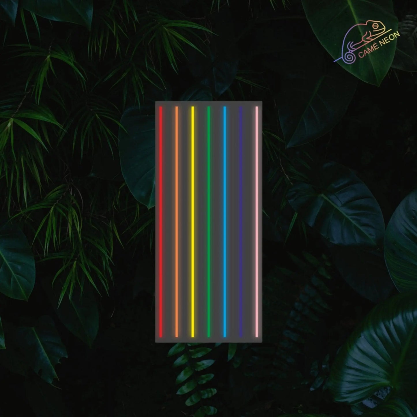 neon led mur arc en ciel 