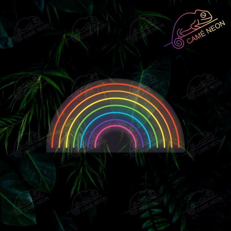 Néon LED arc-en-ciel Product vendor