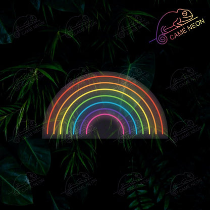 Néon LED arc-en-ciel Product vendor