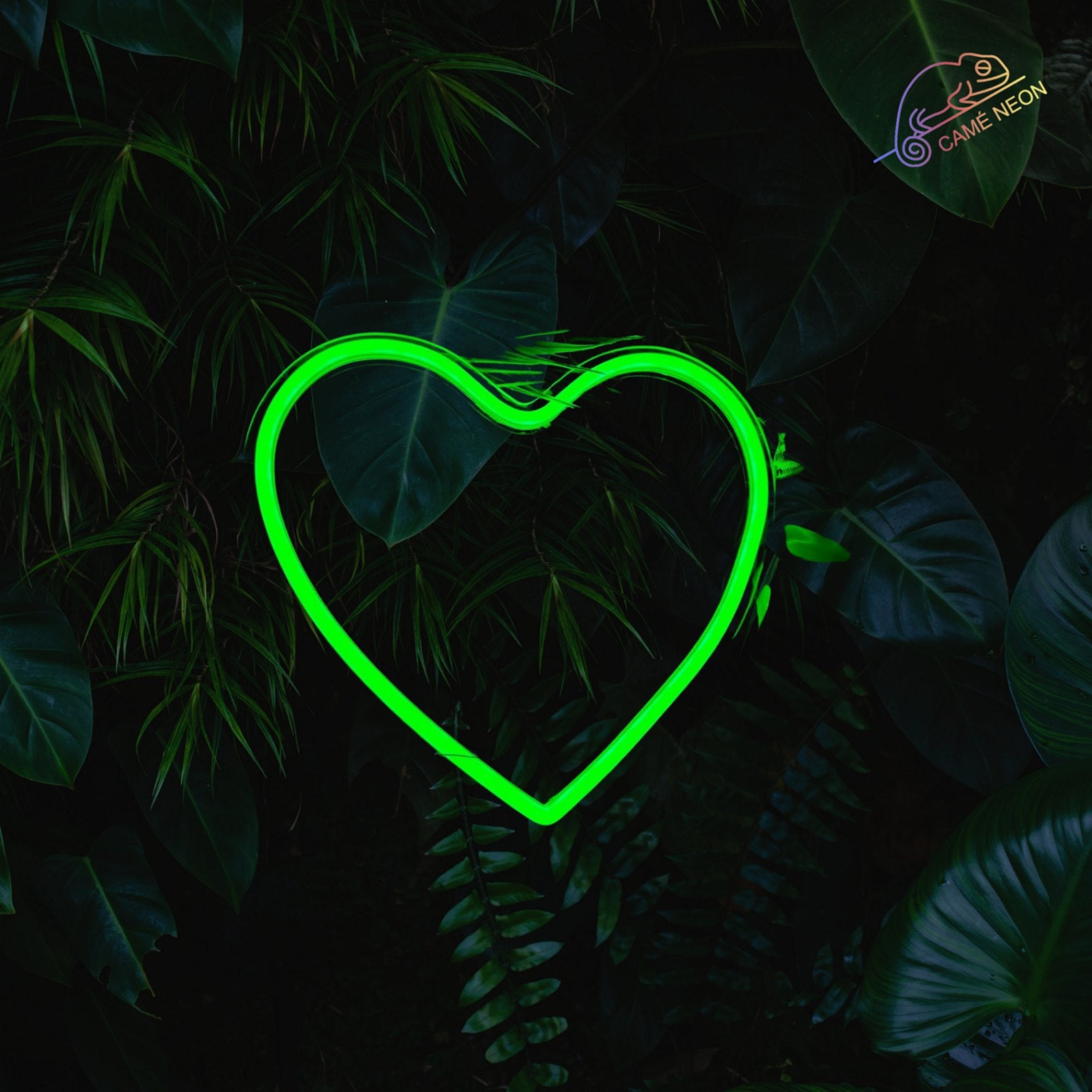 Néon coeur Product vendor